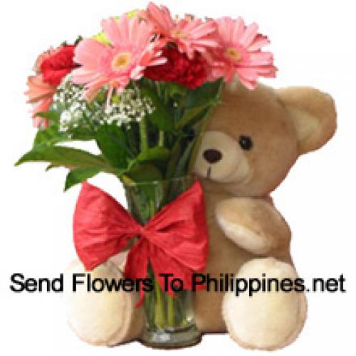 12 Red Carnations and Pink Gerberas with Teddy