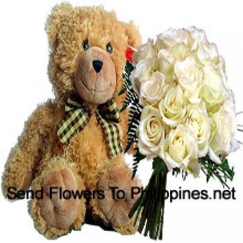 18 White Roses with 14 Inch Teddy