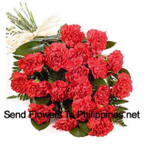 Pretty 24 Red Carnations