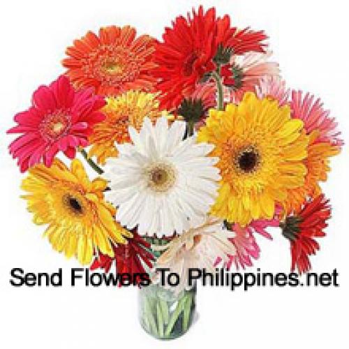 18 Cute Mixed Gerberas