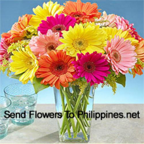 24 Pretty Mixed Gerberas