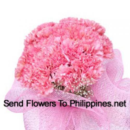 Cute 24 Pink Carnations