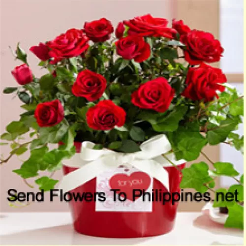 Een prachtige opstelling van 18 rode rozen met seizoensvullers