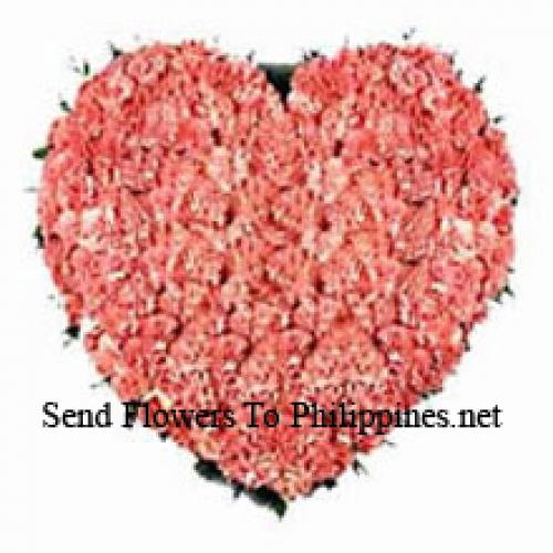 100 Pink Heart Carnations