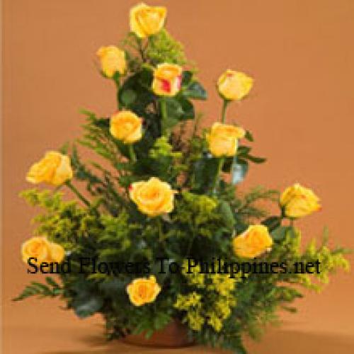 12 Charming Yellow Roses