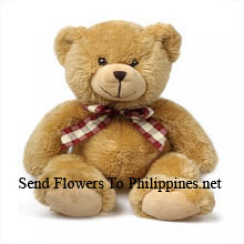 Lovely 12 Inches Teddy Bear