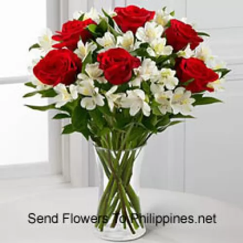 6 Trandafiri roșii cu flori albe asortate și umpluturi într-un vas de sticlă