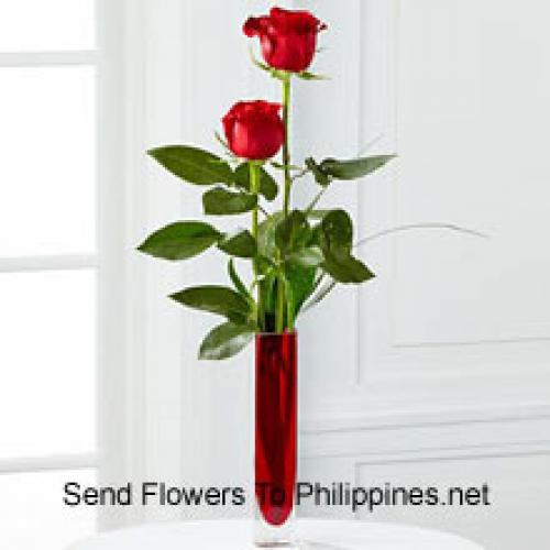 2 Sweet Red Roses in Vase